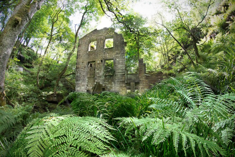 14760013922_54b6b9f65f_b