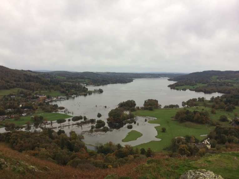 49727948_10156905143829784_2359203953482137600_n