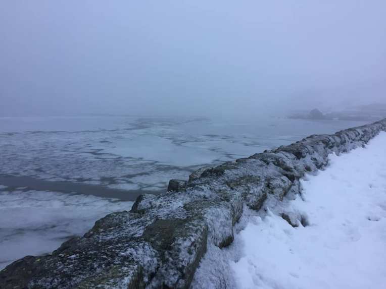 49821631_10156350316882496_7312656307952025600_n